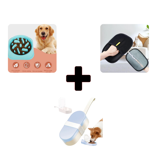 Pet Essentials Starter Pack