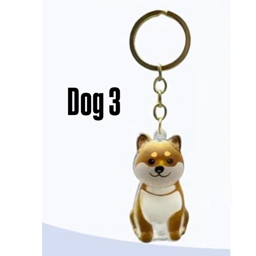 Pet fur memory keychain,  Creative Pet Fur Keepsake Holder, Can Be Used as Pendant, Gift & Memorial